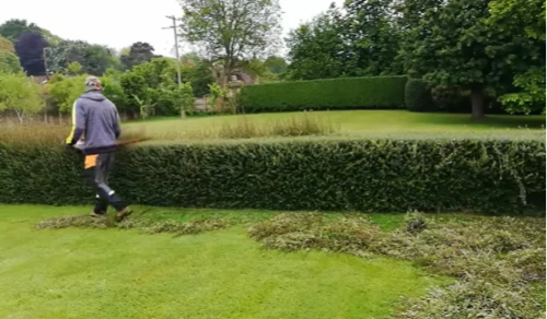 local lawn care services local lawn care services