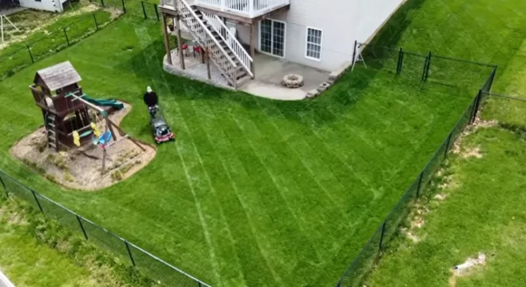 Lawn Care Tips Huntsville TX