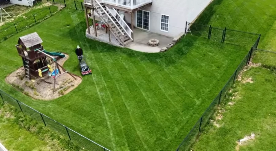 Lawn Care Tips Huntsville TX