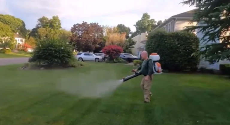 Lawn Treatment for Fleas and Ticks