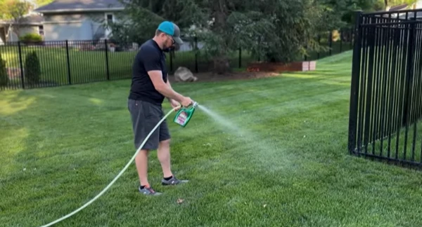 Lawn Treatment for Weeds