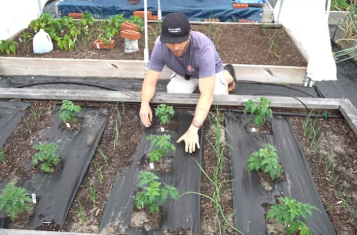 Rid of Weeds in Grass