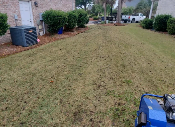 Aerate Your Lawn