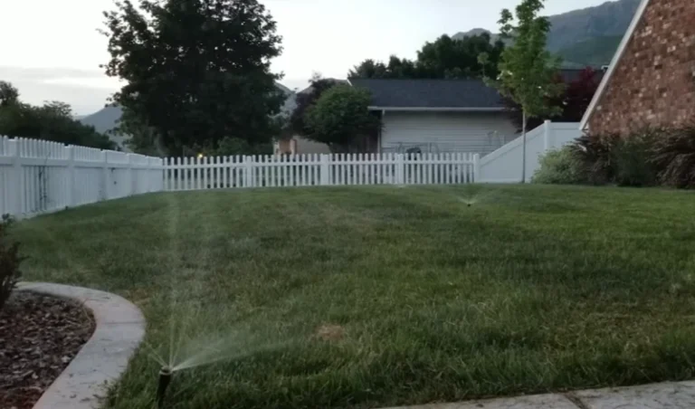 Best Time to Water Grass