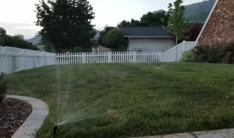 Best Time to Water Grass