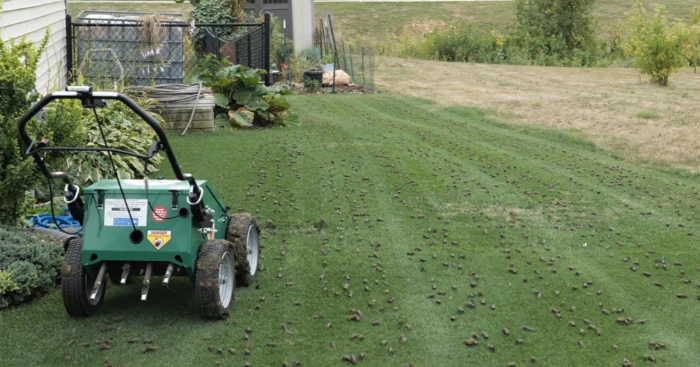Aeration and Dethatching