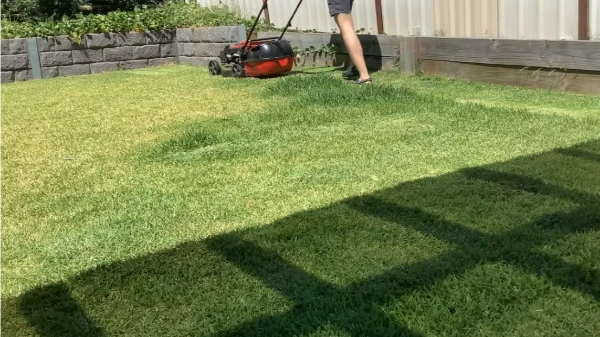 Lawn Mower Properly